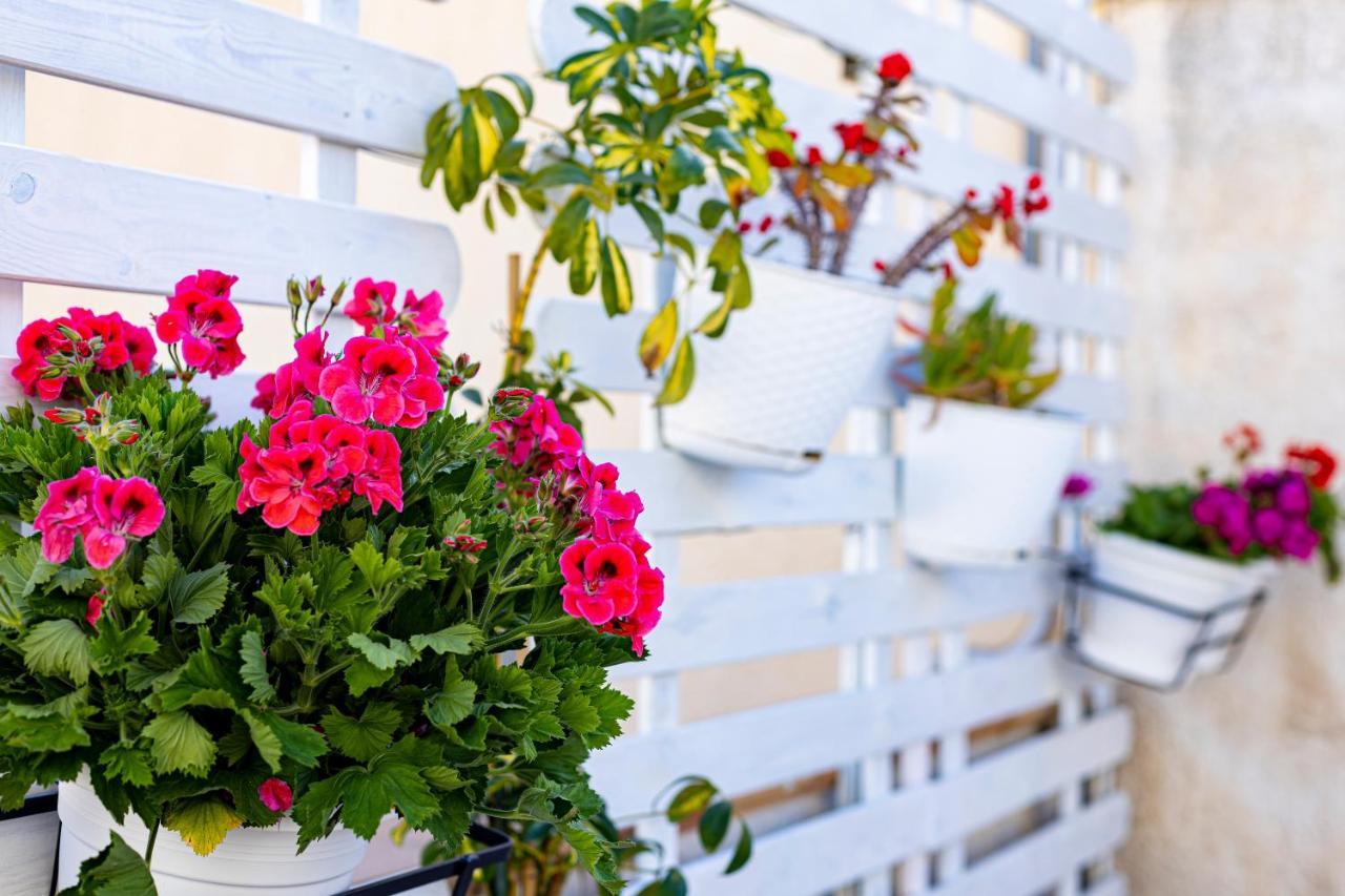 Trapani Home Ngoại thất bức ảnh